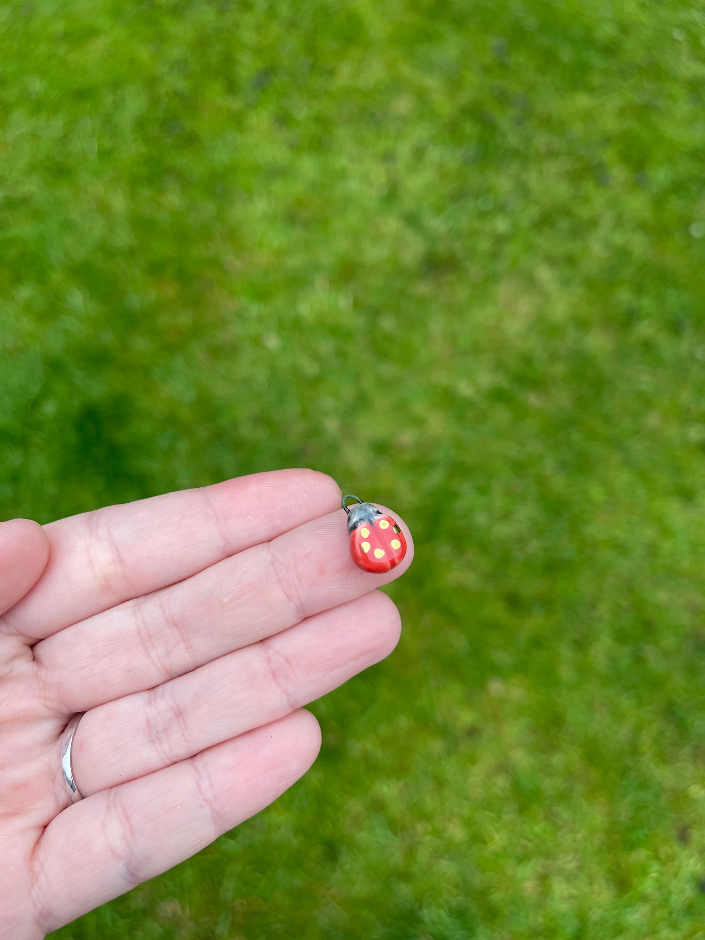 Red ladybird charm